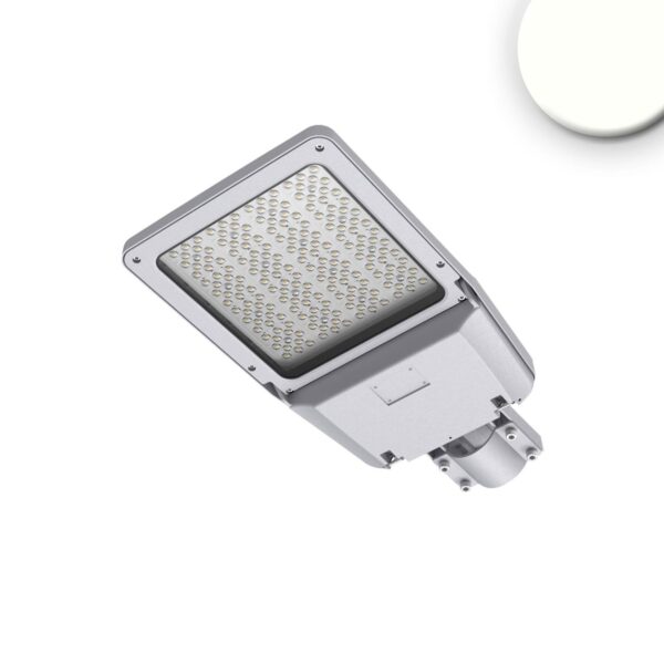 LED Street Light GR100, 4000K, IP66, mit Aufnahme für Ausleger DN60