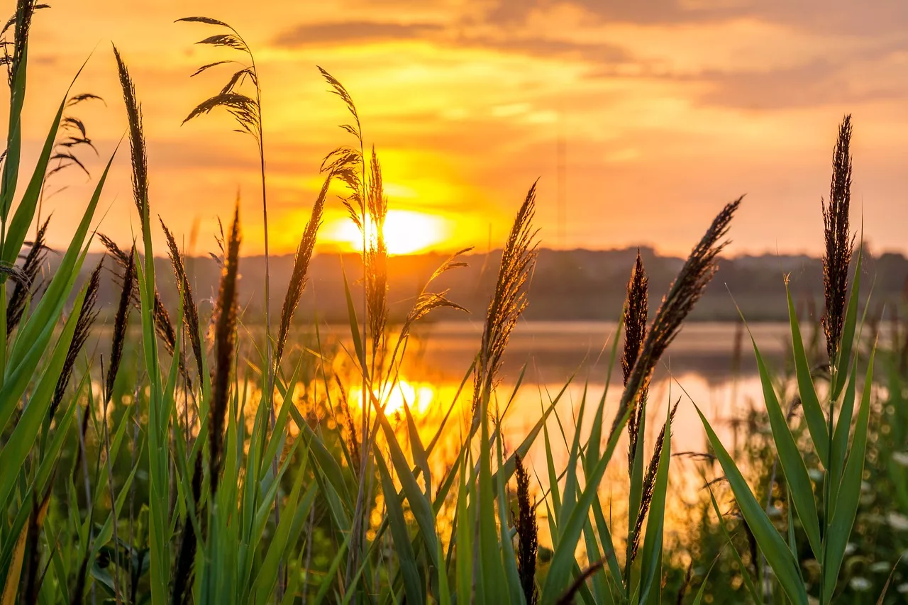 Mehr über den Artikel erfahren Eine Zukunft voller Hoffnung: Positive Veränderungen für alle Generationen