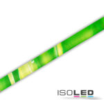 Design Cover 245cm Motiv "Schilf"